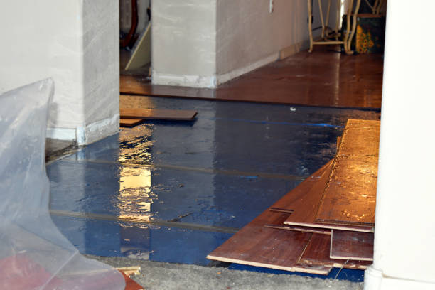 Professional Water Damage Restoration technician working in Plymouth, OH